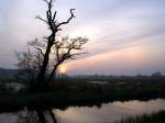 Sonnenaufgang im Trebeltal Bei Demmin