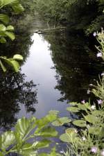 Müritz-Nationalpark: Hermannsgraben. Aufnahme: Juli 2006.