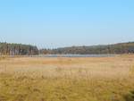 Eine herrliche Sumpflandschaft im Müritz-Nationalpark. Aufgenommen am 14.10.2018 bei Zinow.