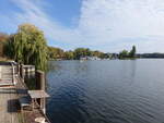 R�beler Binnensee bei R�bel/M�ritz, Lkr. Mecklenburgische Seenplatte (16.10.2026)
