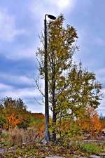 wer hat sich nun nach wem gerichtet?  Baum-Latchte/Latchte-Baum  herbstlicher Einklang am Rande einer alten Industrieanlage