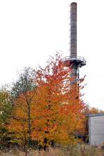 herbstlicher Einklang am Rande einer alten verlassenen Industrieanlage  ein bichen Farbe zum eher tristen Grau