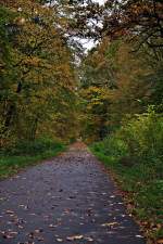 eigentlich nur Wald und ein Fahrradweg, aber dieser Fahrradweg war bis in die '60iger ein Bahndamm, ehm.