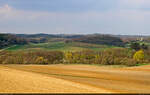 Sanfte H�gel, Wald und wenig Bebauung: Landschaft der Brohmer Berge bei Klepelshagen.