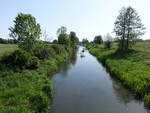 Strasburger M�hlbach bei Nieden, Vorpommern (26.05.2026)