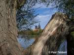 Zwischen den dicken sten einer Weide ist die Nicolaikirche zu erkennen. Stralsund am 1. Mai 2007.