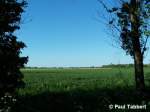Blick auf ein Feld am Stadtrand von Stralsund (18.05.07).