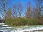 Der Frhling kommt. Aber der Winter will sich noch nicht so schnell verabschieden. Diese Aufnahme entstand am 5. Mrz 2008 in Stralsund. Anfang April viel sogar noch Schnee, Mitte April waren es dann schon 20 auf dem Thermometer...

