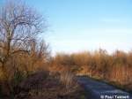Bald wird es wieder Frhling und dann ist hier alles grn. Stralsund, am 01.03.07.