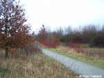 Und nochmal der Weg in die andere Richtung (Stralsund, 26.02.07)