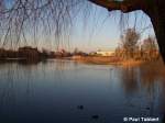 Blick ber den Frankenteich am 12.03.07 in Stralsund.