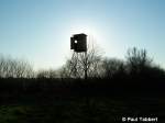Die Sonne versteckte sich am 24.03.07 hinter einem Hochsitz bei Stralsund.