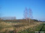 Landschaft bei Stralsund, am 24.03.07. Dieser Sumpfspaziergang tat gut.