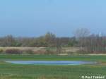 Eine ziemlich groe Pftze auf einem Acker bei Stralsund (12.04.07)
