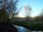 Ein kleiner Strom in Stralsund (12.04.07)