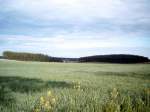 Mecklenburger Landschaft bei Warin (01. Mai 2007)