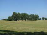 Landschaft am Weg von der Kltzer Strae zum Vielbecker See 02.07.2009