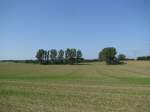 Landschaft am Weg von der Kltzer Strae zum Vielbecker See 02.07.2009