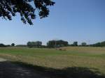 Landschaft am Weg von der Kltzer Strae zum Vielbecker See 02.07.2009