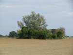 Nordwestmecklenburg, Landschaft am Feldweg von Questin nach Bernstorf 09.09.2008