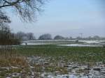 Nordwestmecklenburg, Rehe beim ssen an der Strae von Bernsdorf nach Wilkenhagen, 13.02.2009