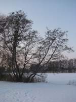 Grevesmhlen; Winterlandschaft am Ploggensee 16.02.2010