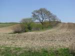 Nordwestmecklenburg; Landschaft stlich der Strae Schattin-Utecht, 25.04.2010