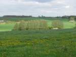 Landschaft westlich von Friedrichshagen (NWM), sdlich der BAB 20, 04.05.2010