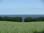 Blick von der L 01 bei Wohlenberg (NWM) zur Wohlenberger Wiek (Ostsee) 22.06.2010