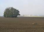 Nordwestmecklenburg; herbstliche Landschaft an der Gemeindestrae nach Pieverstorf, 25.10.2008