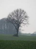 Nordwestmecklenburg; herbstliche Landschaft bei Schlagresdorf an der Strae von Ratzeburg nach Schnberg, 24.10.2010  