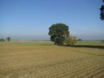 Nordwestmecklenburg; Landschaft an der Landstrae (L 02), Blieschendorf - Hanshagen, bei Hanshagen, 11.10.2008