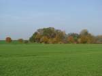 Nordwestmecklenburg; Hecke an der Kreisstrae (K 16) nach Roxin, 08.11.2008