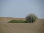 Nordwestmecklenburg, mecklenburgische Landschaft bei Thorstorf an der Strae K 18 von Damshagen nach Grevesmhlen 25.04.2011