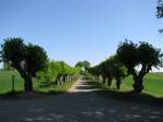 Nordwestmecklenburg, Kltz; Blick durch die 250 Jahre alte Feston-Allee, die durch spalierartig gezogene Linden gebildet wird, nach Osten in Richtung Hofzumfelde, Kltz 08.05.2011