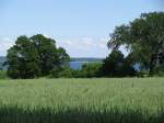 Von der Chausee L 01 bei Wohlenberg (NWM) tat ich einen Blick ber die Wohlenberger Wiek (Ostsee), 22.06.2010