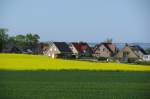 Nordwestmecklenburg NWM; Gro Schwansee zur Rapsbltenzeit 08.05.2008]  