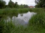 Mhlenteich im Kloster Rehna (12.07.2012)