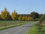 Verbindungsstrae Grevesmhlen - Brzow, herbstliche Landschaft nahe Grevesmhlen (NWM) [11.10.2008]