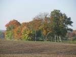 herbstliche Landstrae an der L 02, Sievershagen - Hanshagen (NWM) [11.10.2008](5047) 