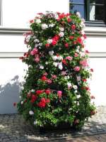 Grevesmhlen; Blumensthle vor dem Rathaus; 31.07.2008