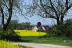 Gro Schwansee zur Rapsblte, 08.05.2008