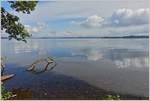 Am Schweriner See sorgen Schwemmholz und Wolken für ein besonderes Bild.