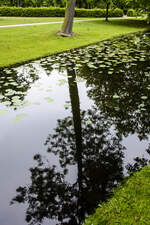 Spiegelung im Kanal des Schweriner Schlossparks.