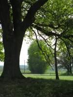 Durchblick, Landschft sdwestlich der B 195 (LG [NS]), 05.05.2010