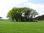 Landschft am westlichen Ortsausgang von Pinnau an der B 195 (LG [NS]) [Mai 20100