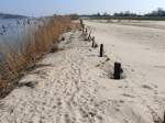 Groe Mengen feinen hellen Sandes hat die Elbe nach ihrem vorigen Hochwasser vom Januar 2011 am linken Ufer zwischen Tespe und Niedermarschacht zurckgelassen; 27.03.2011  