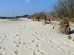 Man watet wie an der Ostsee durch eine dicke Schicht wunderschnen hellen Sand, den die Elbe bei ihrem vorigen Hochwasser im Januar 2011 am linken Ufer zwischen Tespe und Niedermarschacht angeschwemmt