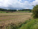 Felder bei Barlissen im Tal der Damme, Südniedersachsen (31.08.2021)