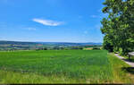 Ausblick Richtung Duderstadt am Rande der Rote-Warte-Straße.